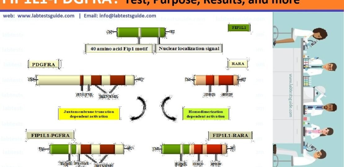 FIP1L1-PDGFRA