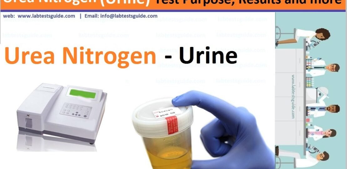 Urea Nitrogen (urine)