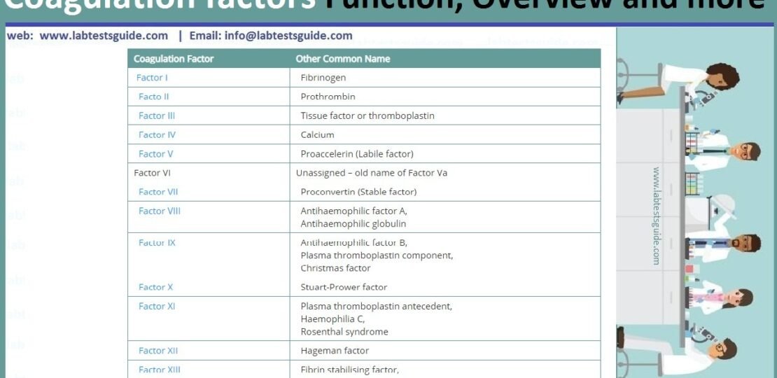 Coagulation factors