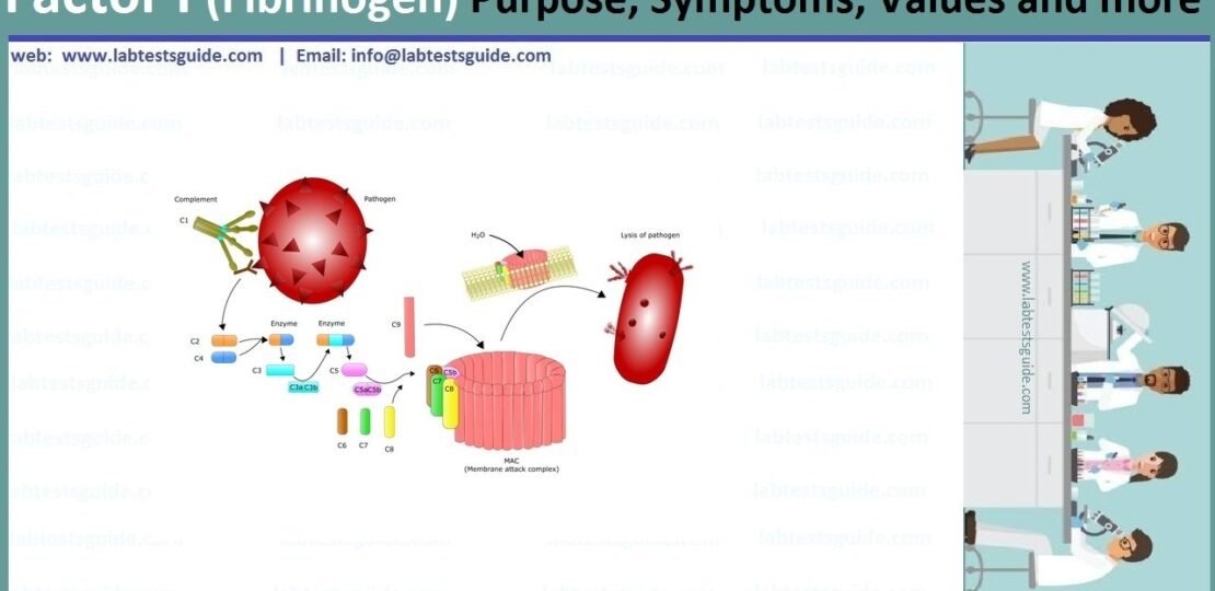 Factor I